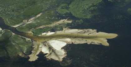 OkavangoDelta