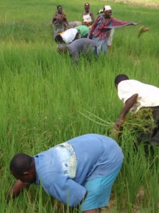 diamond mined land reclaimed