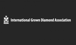 IGDA-Logo