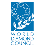 logo_wdc