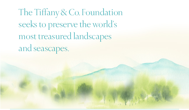Tiffany & Co Foundation