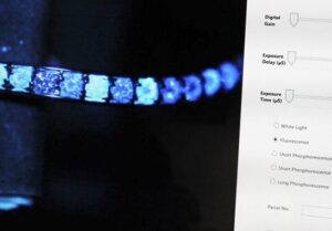 Engagement-ring prices stable at $3.4K