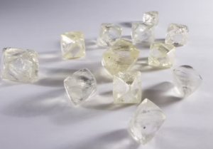 The Natural World Inspires Tiffany & Co. Blue Book: Hidden Garden